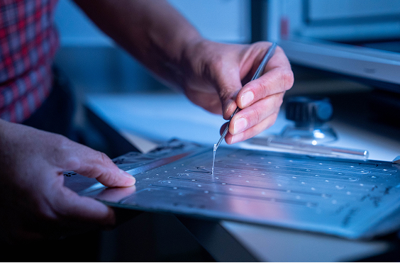 A person uses tweezers to lift a small strand of material